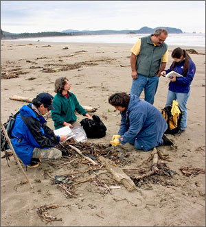 Members of COASST studying a bird carcass in the Olympic Coast National Marine Sanctuary.