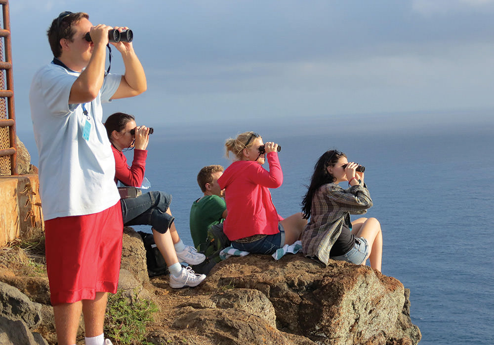 volunteers on a beach in hawaii looking through binoculars counting the number of whales passing by