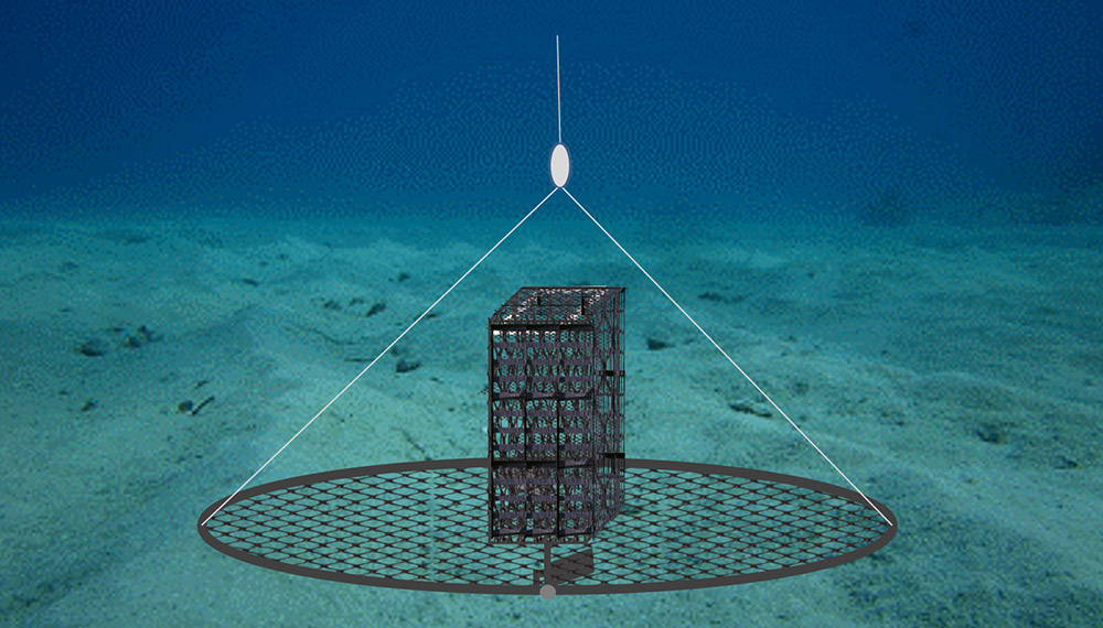 a drawing two hinged half-hoops covered in mesh netting lie open on the ocean floor