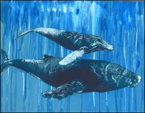 whale art