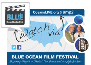 blue film festival information