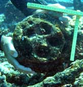 scale of item found near shipwreck