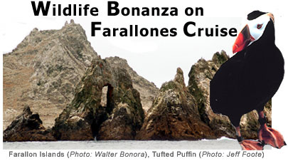Farallones Cruise Header