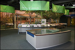 visitor center in Key West
