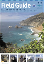 cover image of Monterey Bay Field Guide