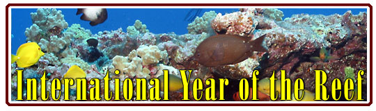 international year of the reef header