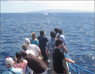 people whale watching