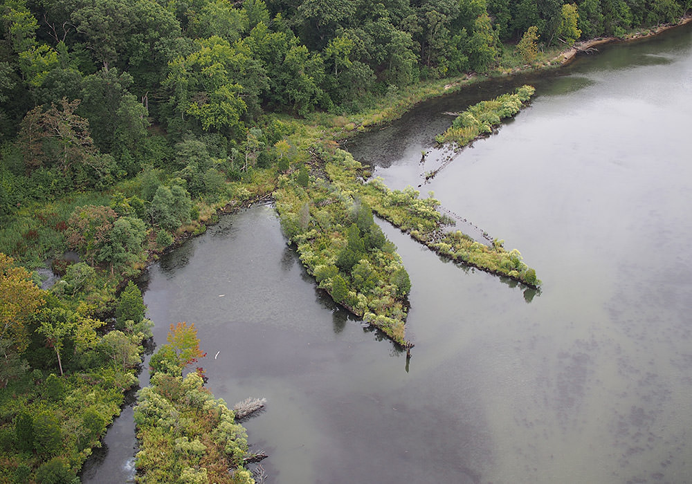 aerial view of mallows bay, several shipwrecks cover in vegetation can be seen