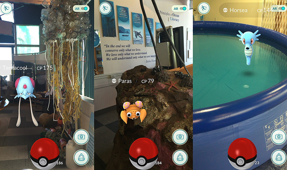 some of the water-type pokemon found at the olympic coast discovery center