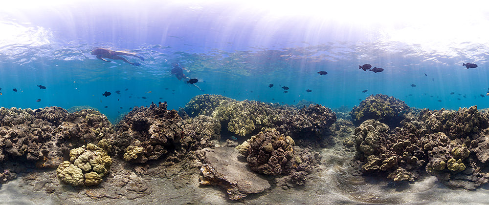 panoramic view of Hanauma Bay, Hawaii with snorkelers looking at the coral and fish swimming