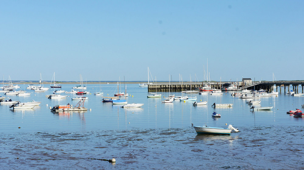 boats in provincetown harbor