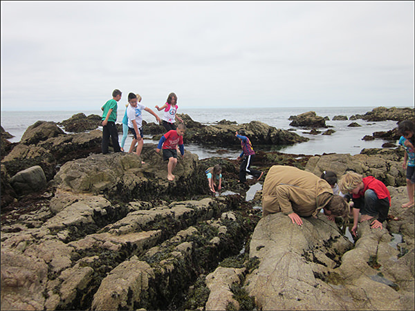 Captain Cooper School students exploring a rocky coast