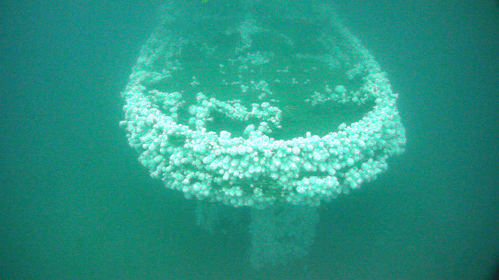 photo of the stern of conestoga underwater