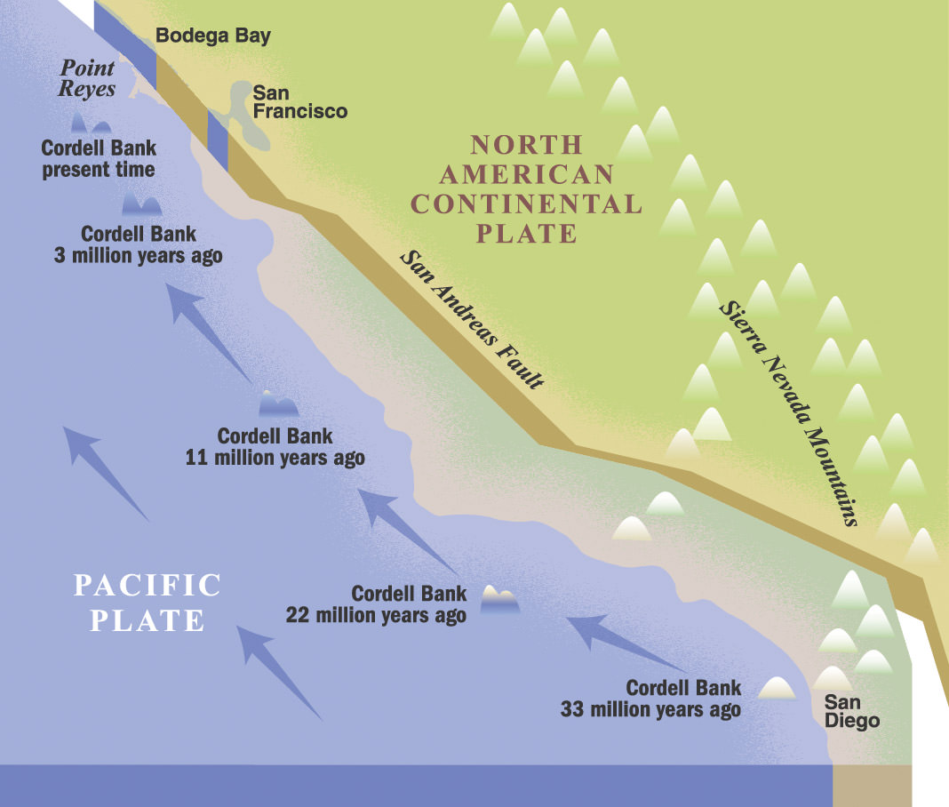 map showing the movement of cordell bank along the san andress fault line