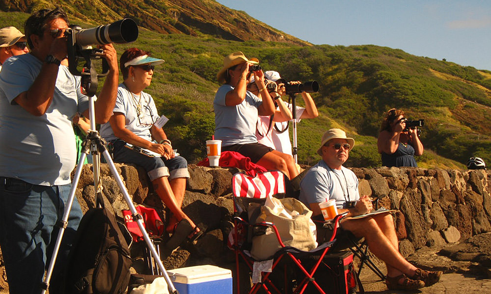 people using cameras and binoculars to watch whales from shore