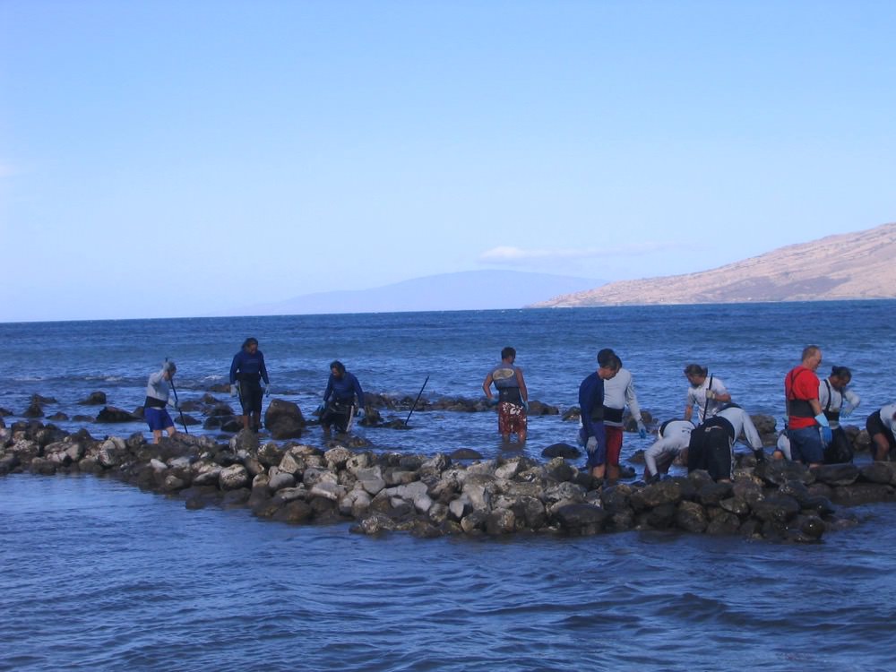 people moving rocks to construct a fishpond