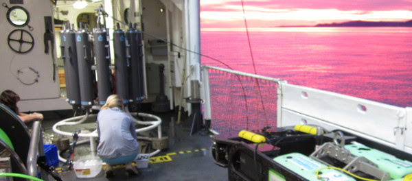researchers working on the deck of a ship