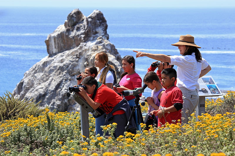 Carolyn Skinder guiding young naturalists as they look through binoculars