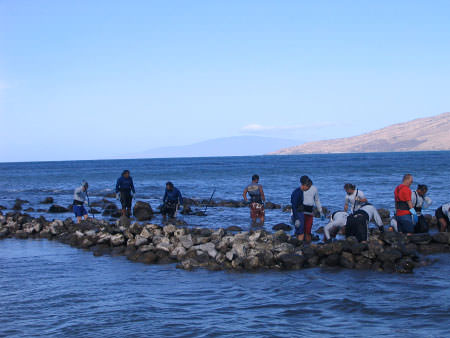 Members of the community help to restore a Native Hawaiian fishpond