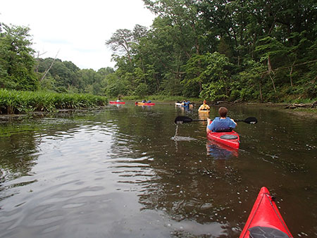 kayakers in Mallows Bay