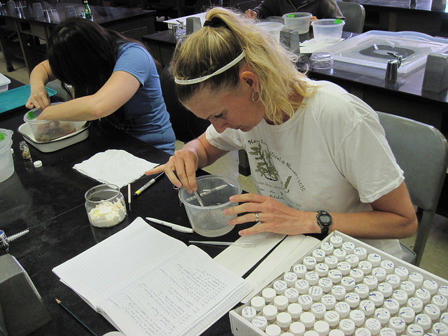 people examining samples in lab