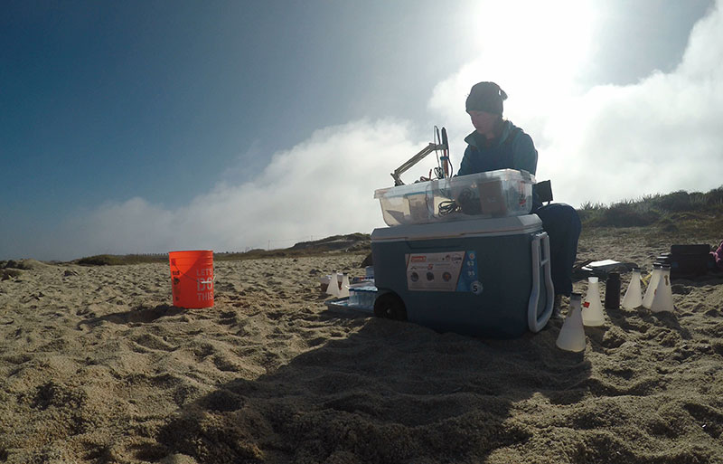 photo of a scientist conducting reseach on the beach
