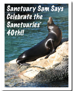 sam says celebrate sanctuaries 40th anniversary