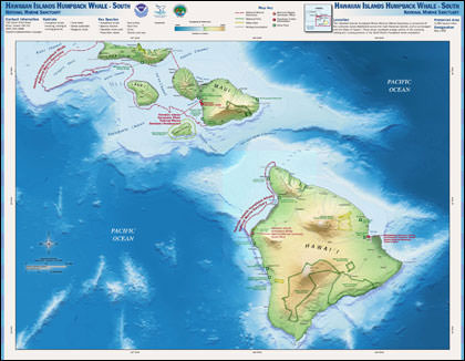 Hawaiian Island Humpback Whale south map