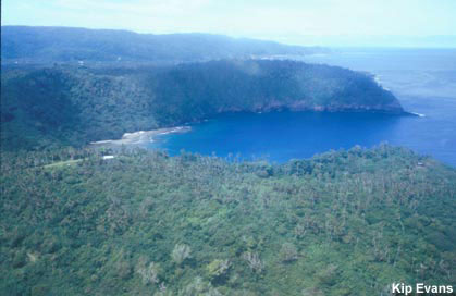 photo of ridge surrounding Fagatele Bay