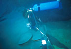 photo of scuba diver above shelf coral