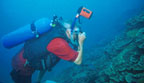 photo of scuba diver photographing coral damaged by dynamite fishing