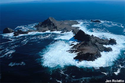 aerial view of the South Farallon Islands