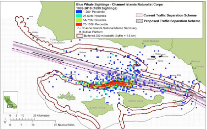 Blue whale sightings and the proposed shipping lane shift in the Santa Barbara Channel