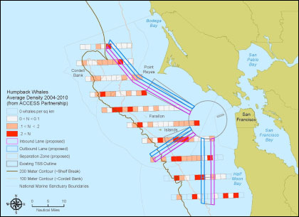 Blue and Humpback whale sightings and the proposed shipping lane shifts in the approach to San Francisco bay