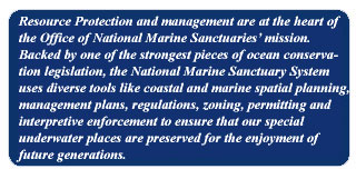 Sanctuaries are supported by a network of dedicated and diverse 
individuals and organizations working to protect our ocean. 
Throughout the National Marine Sanctuary System, thousands 
of volunteers make wide-ranging science and education programs possible, community-based advisory groups provide expertise and input on critical issues, and non-profit partners help 
build support for effective ocean management. Together, these 
pieces form a strong foundation for the protection of our nation's most treasured underwater places. 

