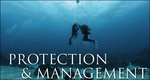 protection and managment