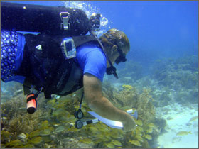 photo of diver removing marine debris