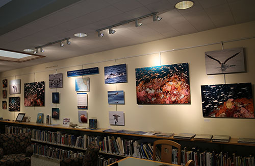 photo of exhibit in Cordell Bank