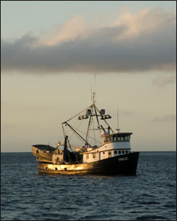 Boat Supplies, Fishing Gear & More - Channel Islands, Port Hueneme