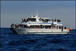 Island Packer's vessel bringing visitors