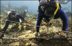 National Association of Black Scuba Divers (NABS) conducting an archeological survey of the shipwreck City of Washington in the Florida Keys.