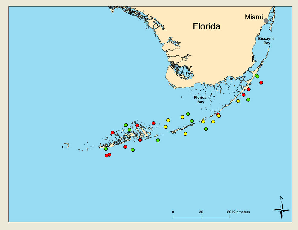 Map of permanent, long-term seagrass monitoring stations 