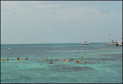 photo of snorkelers