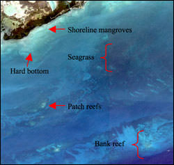 figure showing habitats such as seagrass and patch reefs