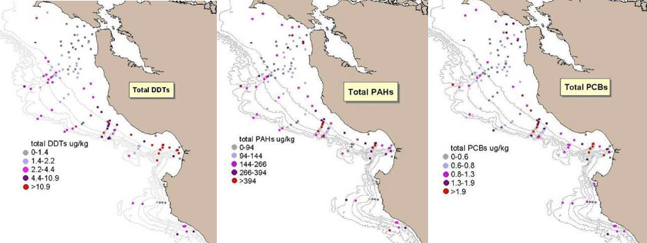 Figure 31. Relative concentration of total DDTs, PAHs and PCBs, normalized for sediment total organic carbon content. Contaminant concentrations are the highest in the canyons and lowest on the shelf. (Maps: Hartwell 2008)