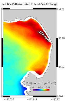 Figure 30. Satellite-collected Fluorescence Line Height (FLH) data, 2002-2007, was used to calculate the mean concentration (red is high, purple is low) of microscopic algae during the months of August-November , a period when red tides have been observed with high frequency in the northern Monterey Bay. Representative drifter tracks, which mark the northward surface transport pattern of land-derived nutrients and material, indicate highest average bloom intensity in the wake of land-sea exchanges. Source: Ryan et al. 2008
