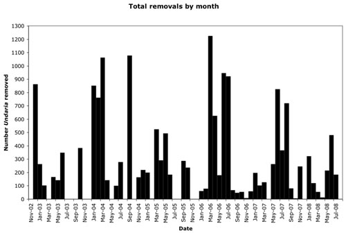 Figure 62. Between December 2002 and July 2008 17,522 individuals of the invasive Asian kelp Undaria pinnatifida were manually removed from Monterey Harbor. 120 removal dates were collapsed into monthly totals in this figure. Months with no data were not surveyed. Data Source: S. Lonhart, NOAA/MBNMS/SIMoN, unpubl. data