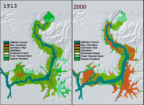 Figure 69. Aerial photograph interpretations of changes in estuarine habitat composition from 1913 to 2000. Source: Van Dyke and Wasson 2005