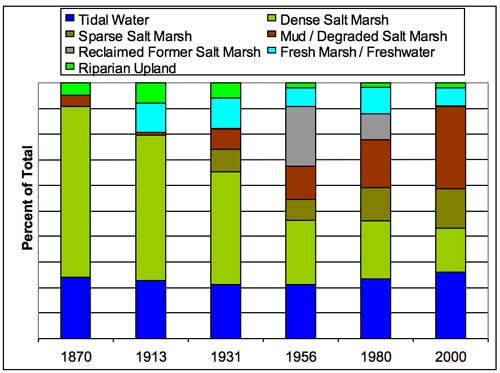 Figure 70. Analysis of a chronological series of maps and aerial photographs reveals a highly substantial decrease in dense salt marsh and increase in mudflat and sparse salt marsh over the past 130 years, resulting from human changes to tidal exchange and sediment inputs into the estuary. Source: ESNERR, unpubl. data