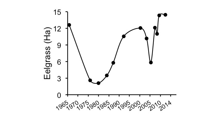 chart showing historical analysis of eelgrass